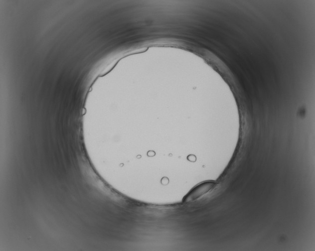 X0000115770860200912241748