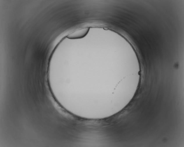 X0000115770861200912241748