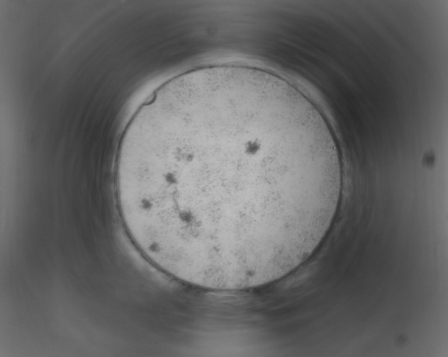 X0000115770863200912241748
