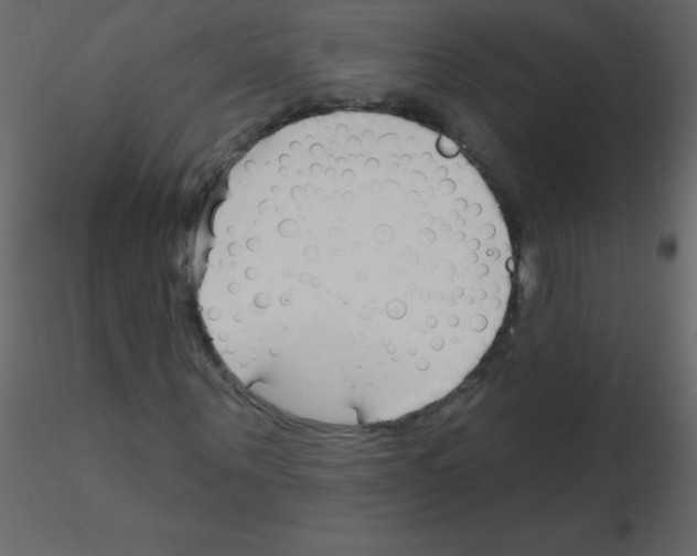X0000115770867200912241748