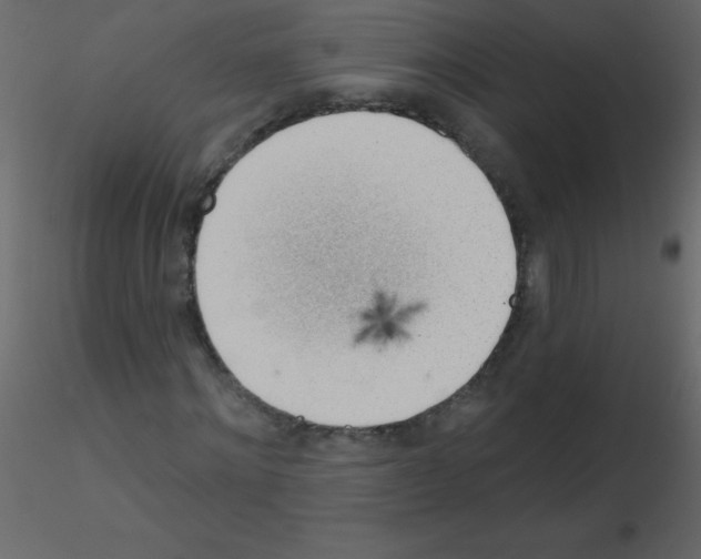 X0000115770868200912241748