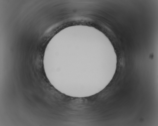 X0000115770869200912241748