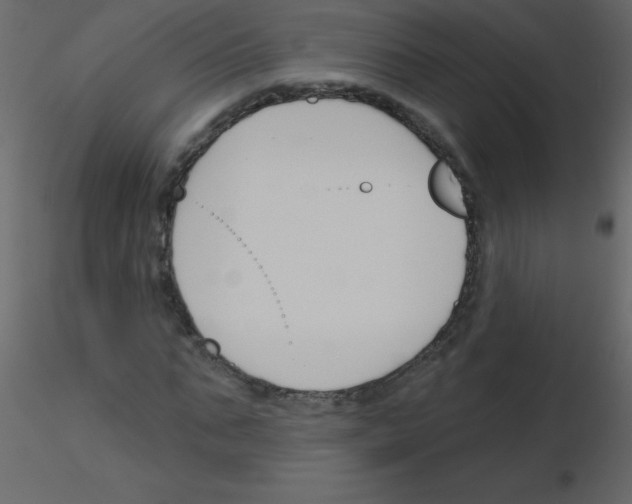 X0000115770871200912241748