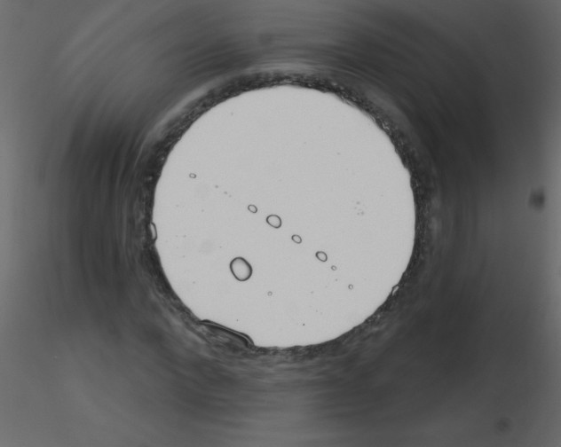 X0000115770872200912241748