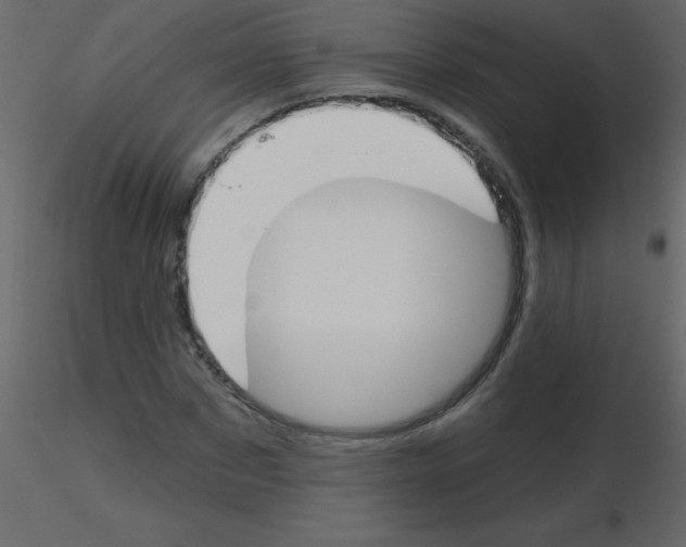 X0000115770873200912241748