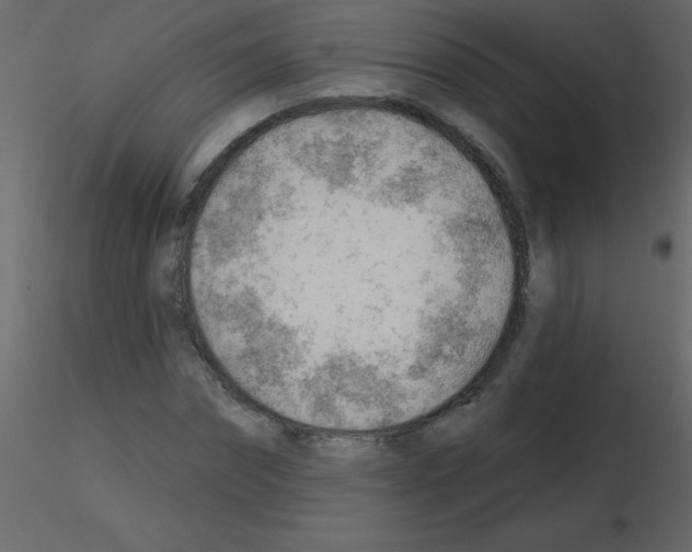 X0000115770874200912241748