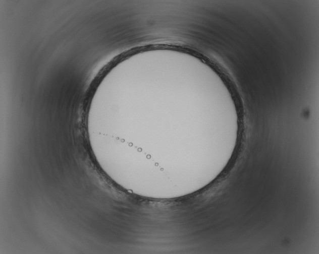 X0000115770875200912241748
