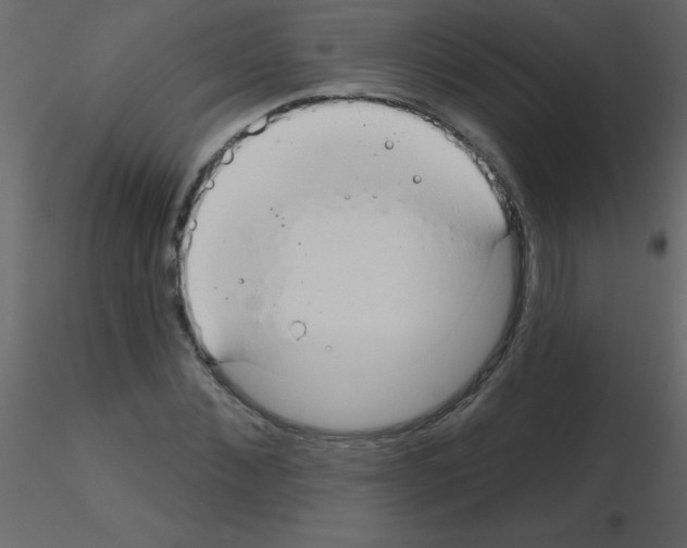 X0000115770876200912241747