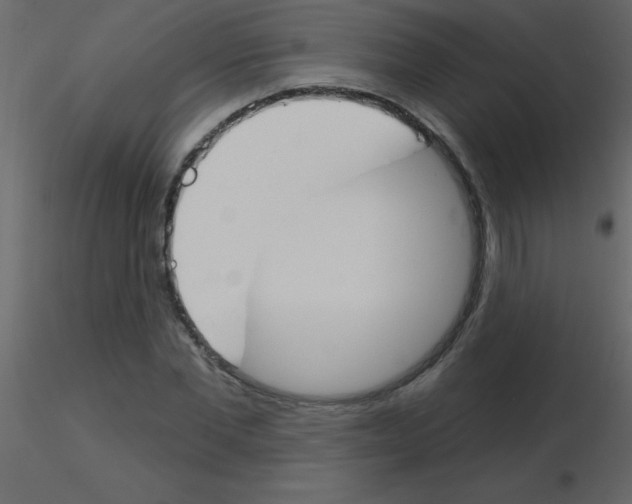 X0000115770877200912241747