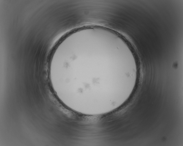 X0000115770878200912241747