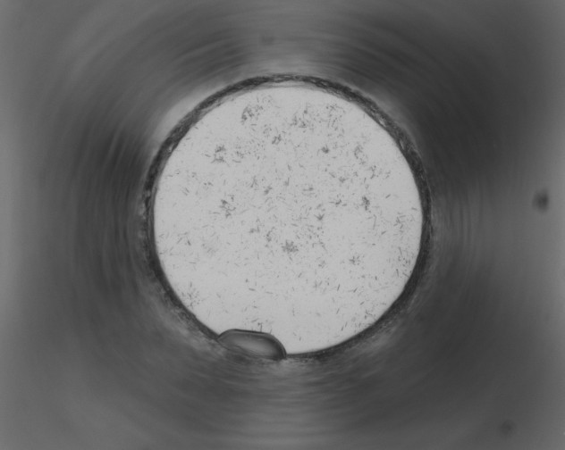 X0000115770879200912241747