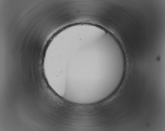 X0000115770880200912241747