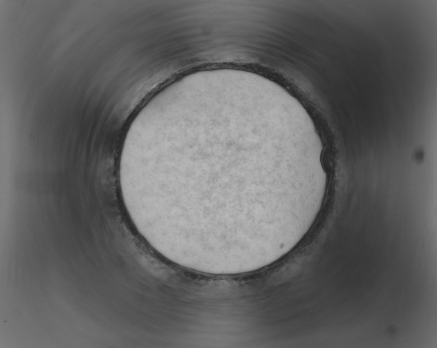X0000115770881200912241747