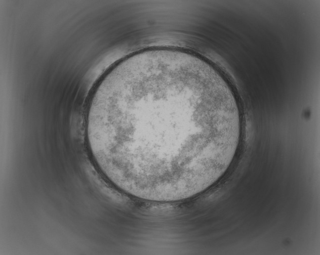 X0000115770882200912241747