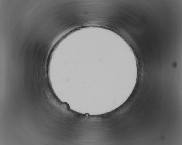 X0000115770884200912241747