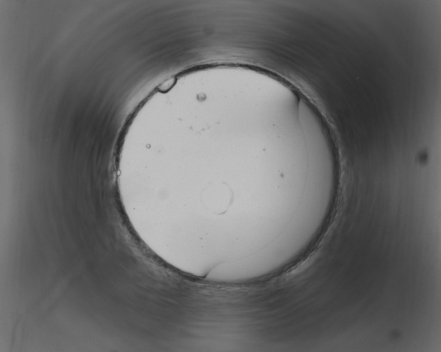 X0000115770885200912241747