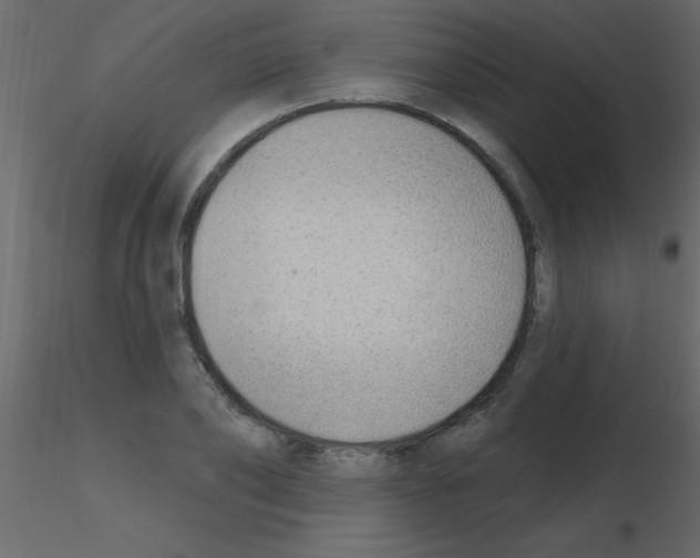 X0000115770886200912241747