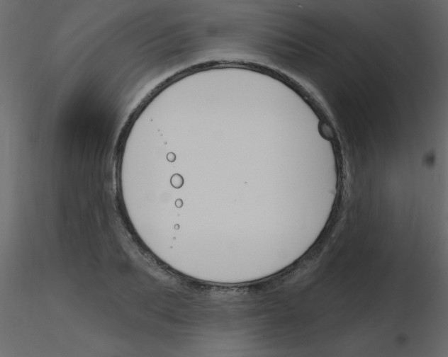 X0000115770887200912241747