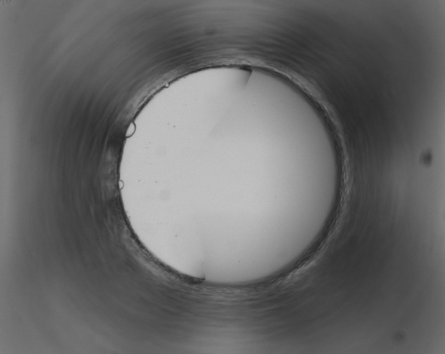 X0000115770889200912241747