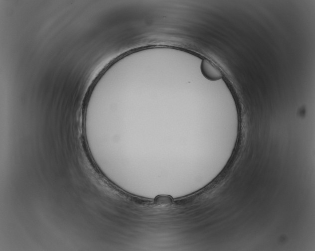 X0000115770891200912241747