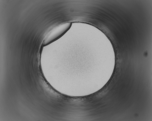 X0000115770892200912241747