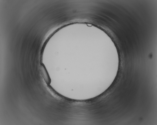 X0000115770894200912241747