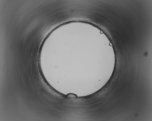 X0000115770895200912241747