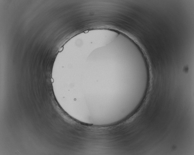 X0000115770897200912241747