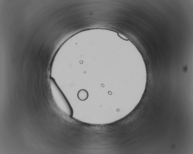 X0000115770900200912241747