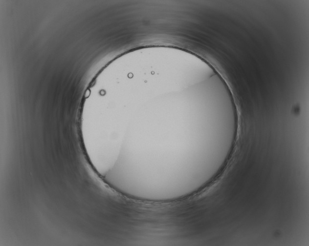X0000115770901200912241747