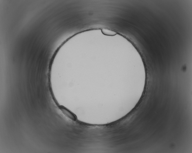 X0000115770902200912241747