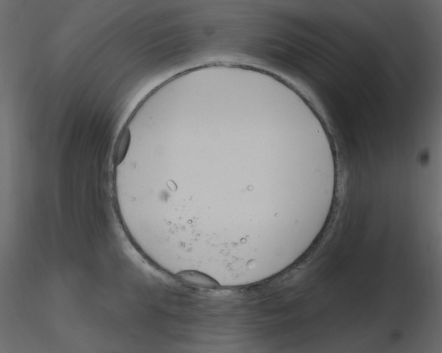 X0000115770903200912241747