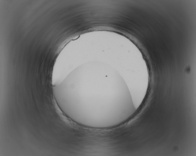 X0000115770905200912241747