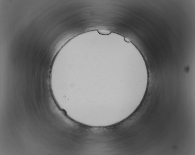 X0000115770906200912241747