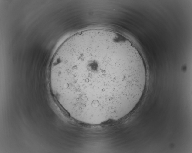 X0000115770907200912241747