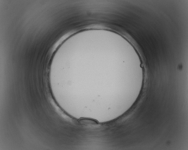 X0000115770909200912241747