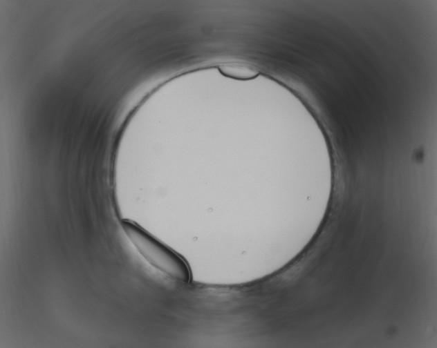 X0000115770910200912241747