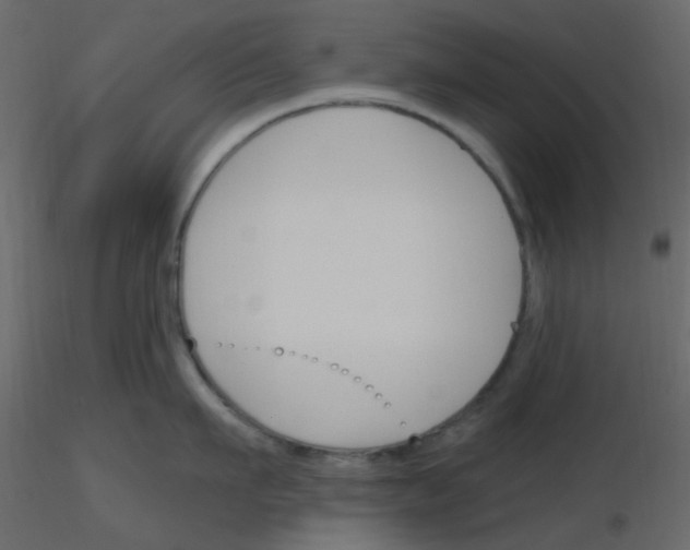 X0000115770911200912241747