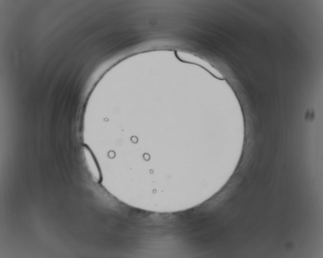 X0000115770912200912241747