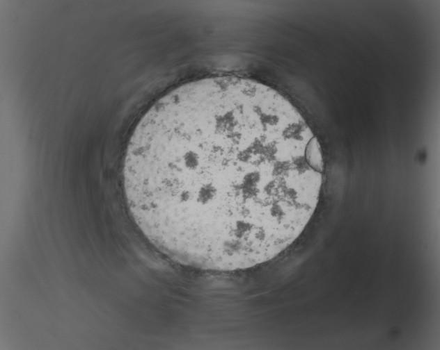 X0000115770913200912241746