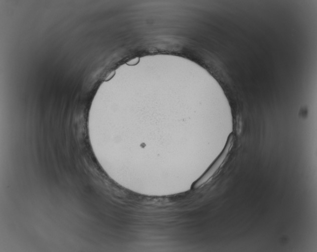 X0000115770915200912241746