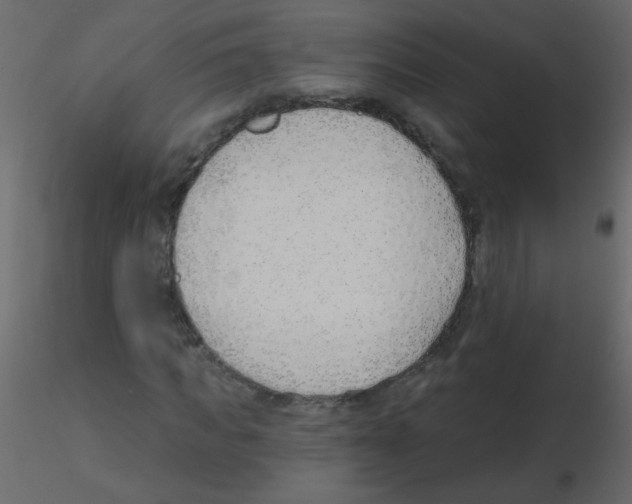 X0000115770917200912241746