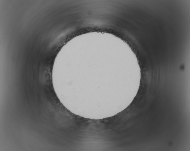 X0000115770918200912241746