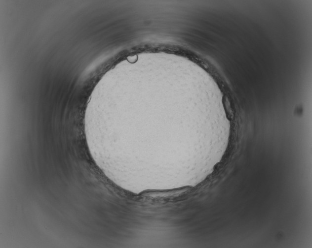 X0000115770919200912241746
