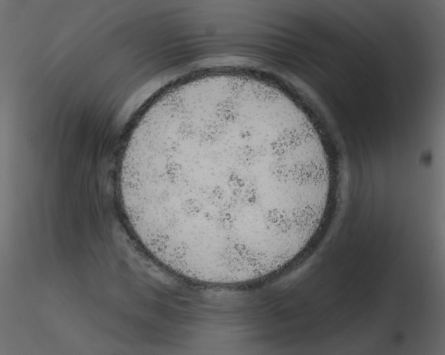 X0000115770921200912241746