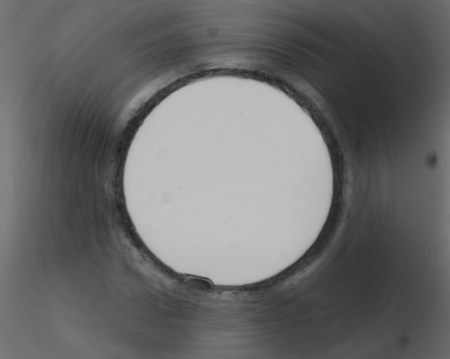 X0000115770922200912241746