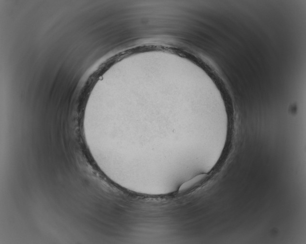 X0000115770923200912241746