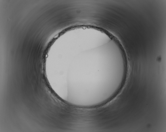 X0000115770925200912241747