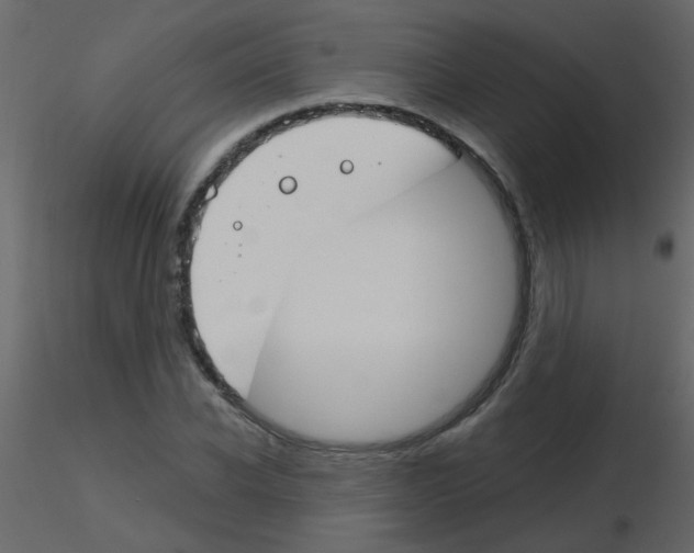 X0000115770926200912241747