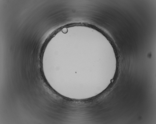X0000115770927200912241747